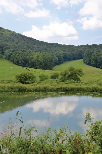 Mountain Valley Farm & Store