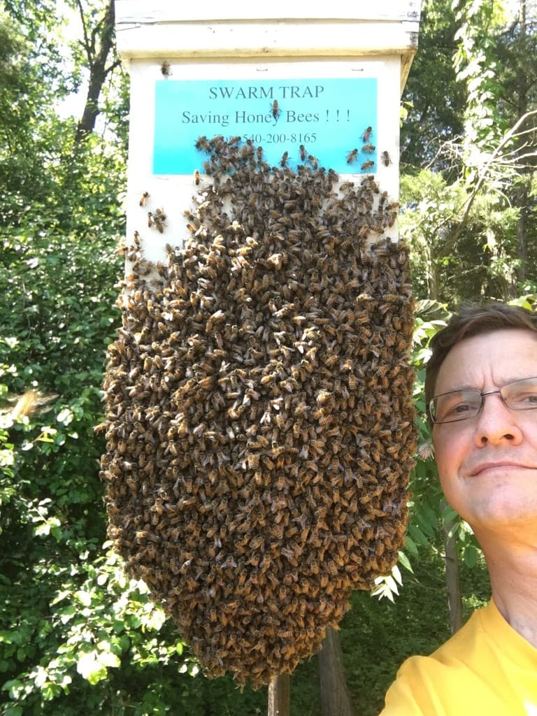 Knapp's Bees, LLC
