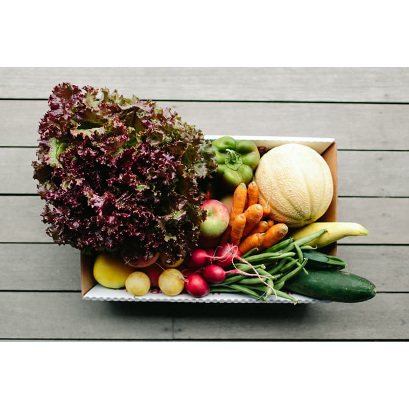 Westward Orchards + Farm