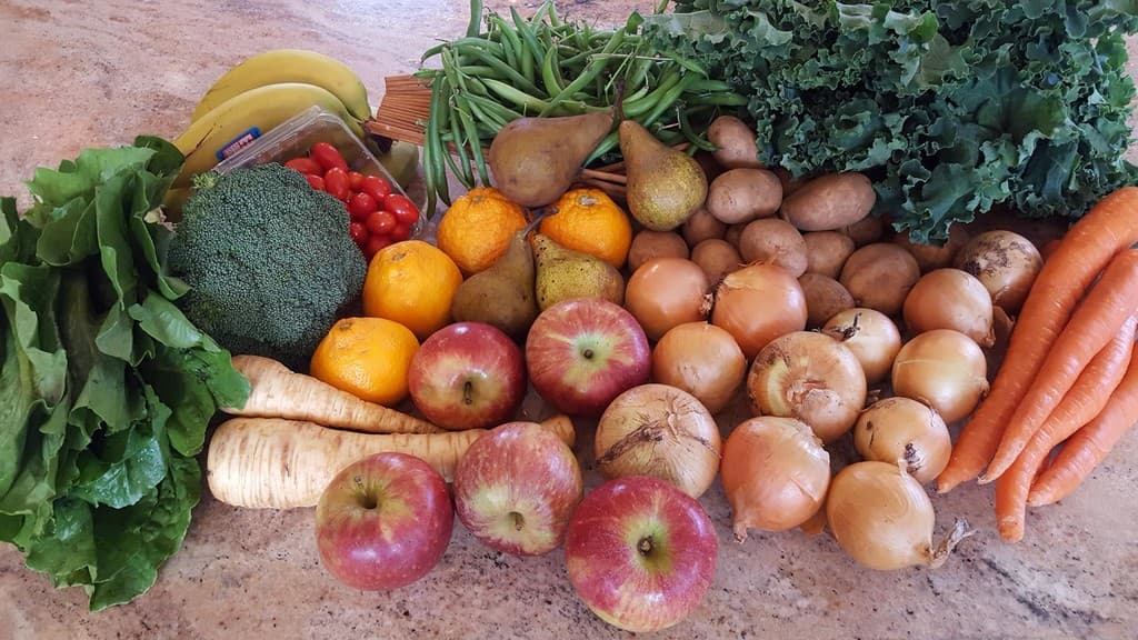 Purple Dragon Co-op, Inc.