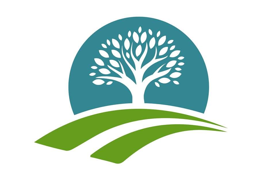 Heart & Bones Hollow