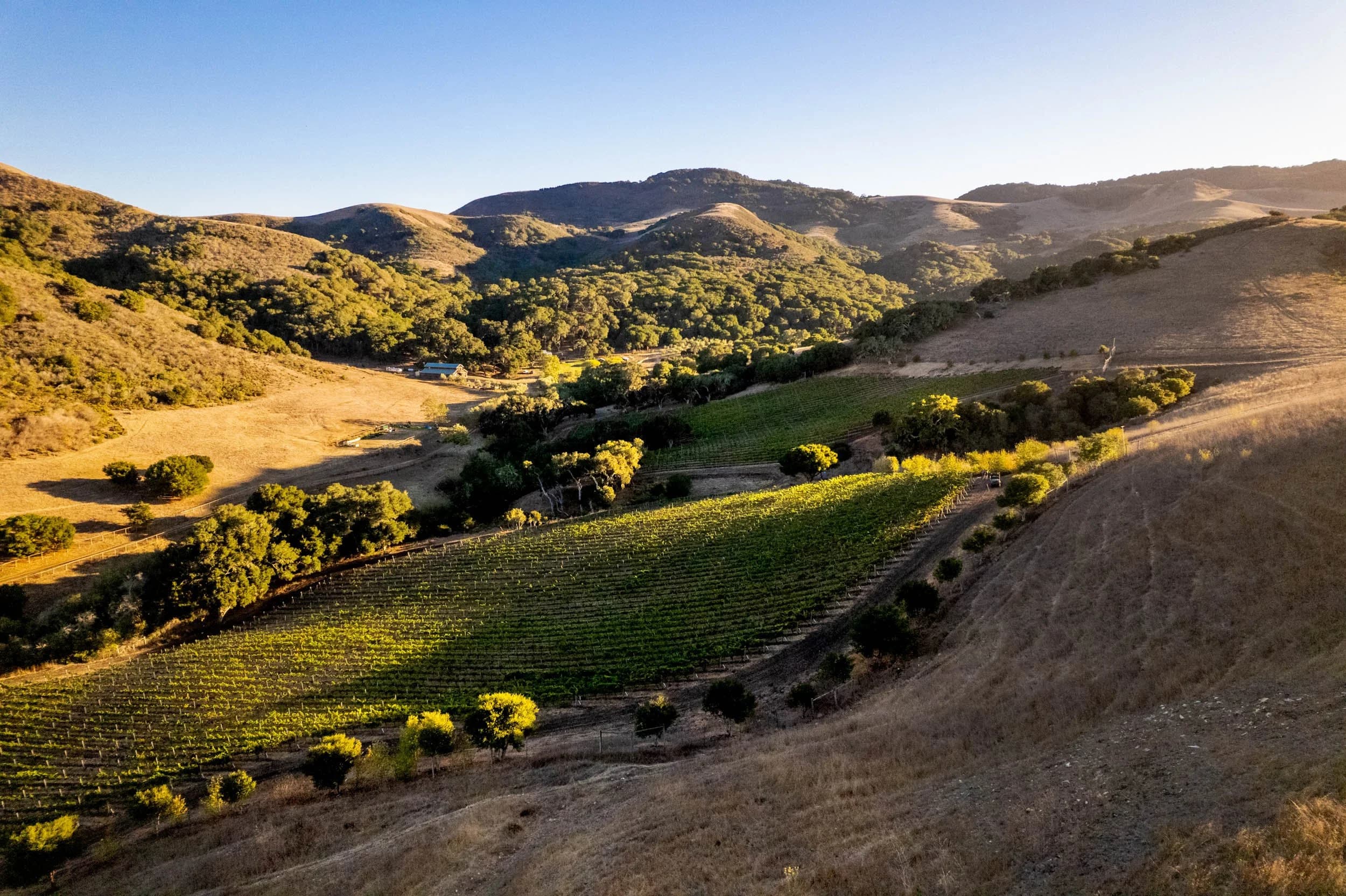 White Buffalo Land Trust - Center for Regenerative Agriculture at Jalama Canyon Ranch