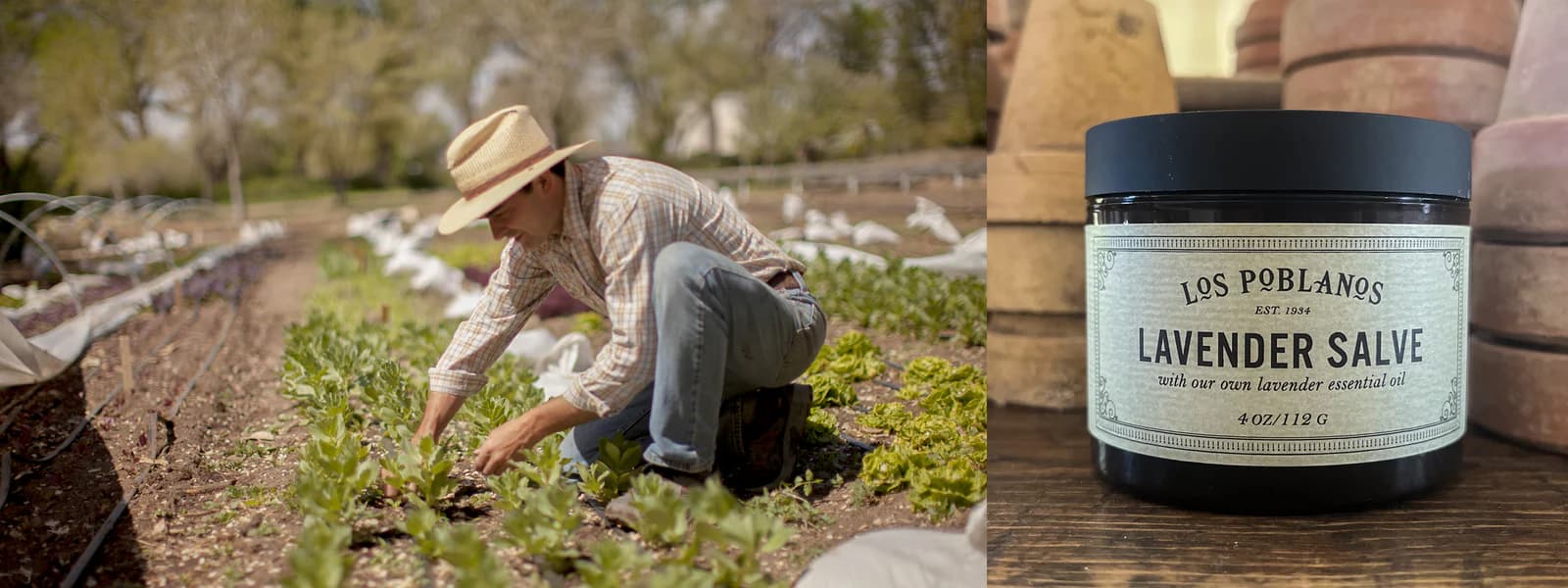Farm Shop at Los Poblanos