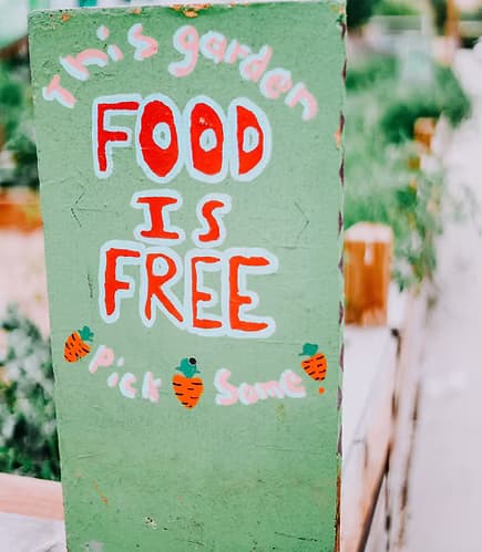 Wyoming Food for Thought Project