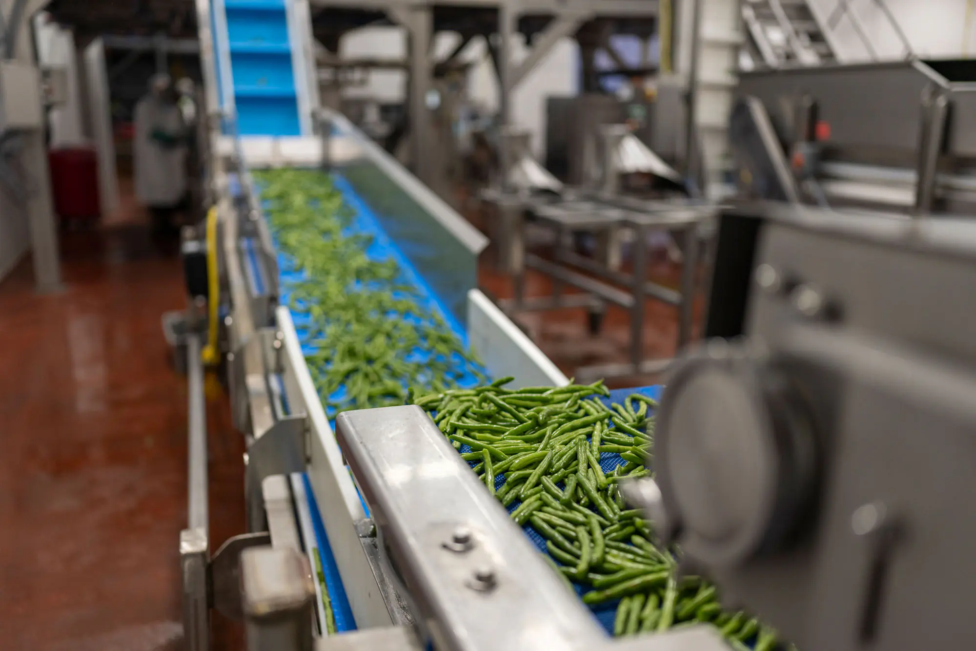 Blanco Creek Farms LLC