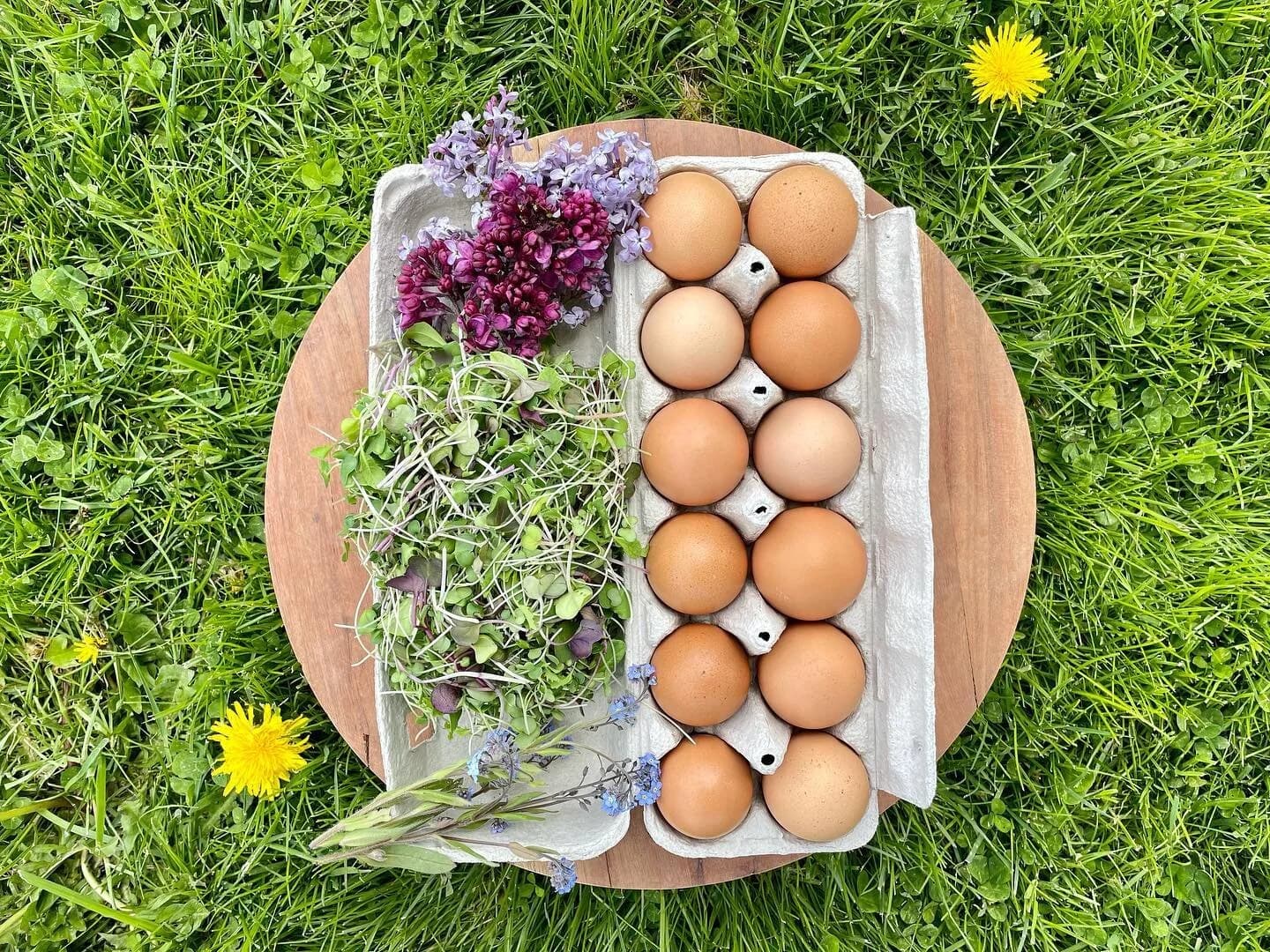 Jacobson Family Farms