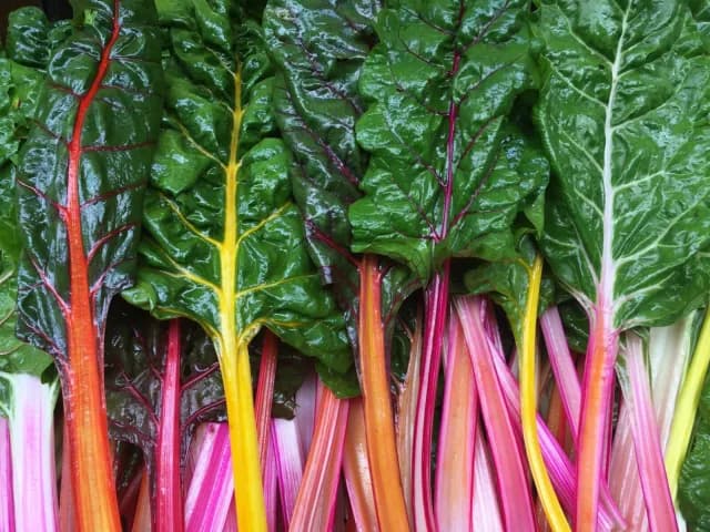 North Asheville Tailgate Market