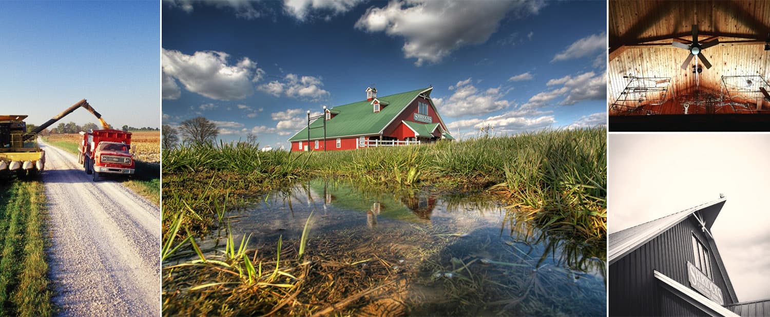 Shryocks Callaway Farms