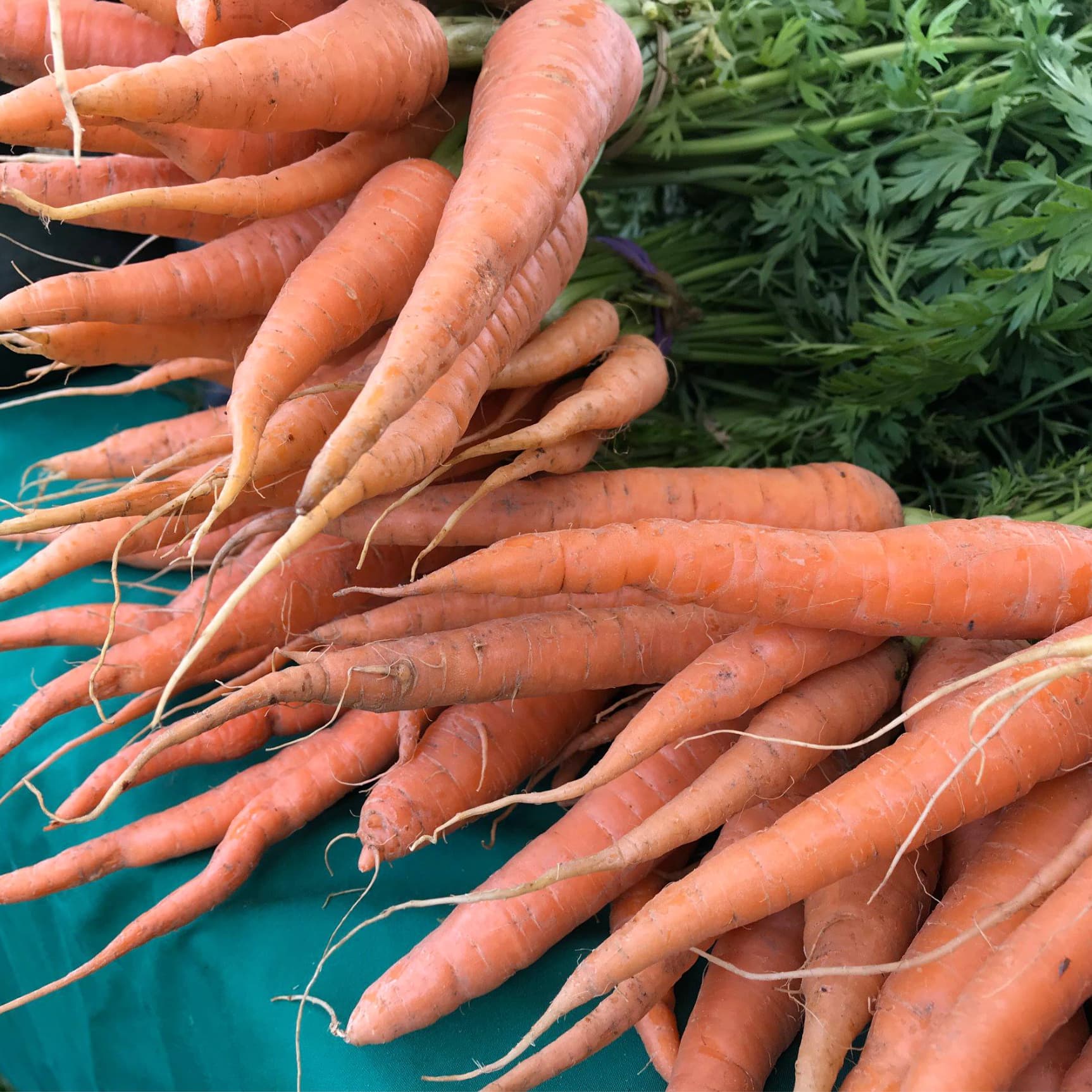 Derry Homegrown Farm & Artisan Market