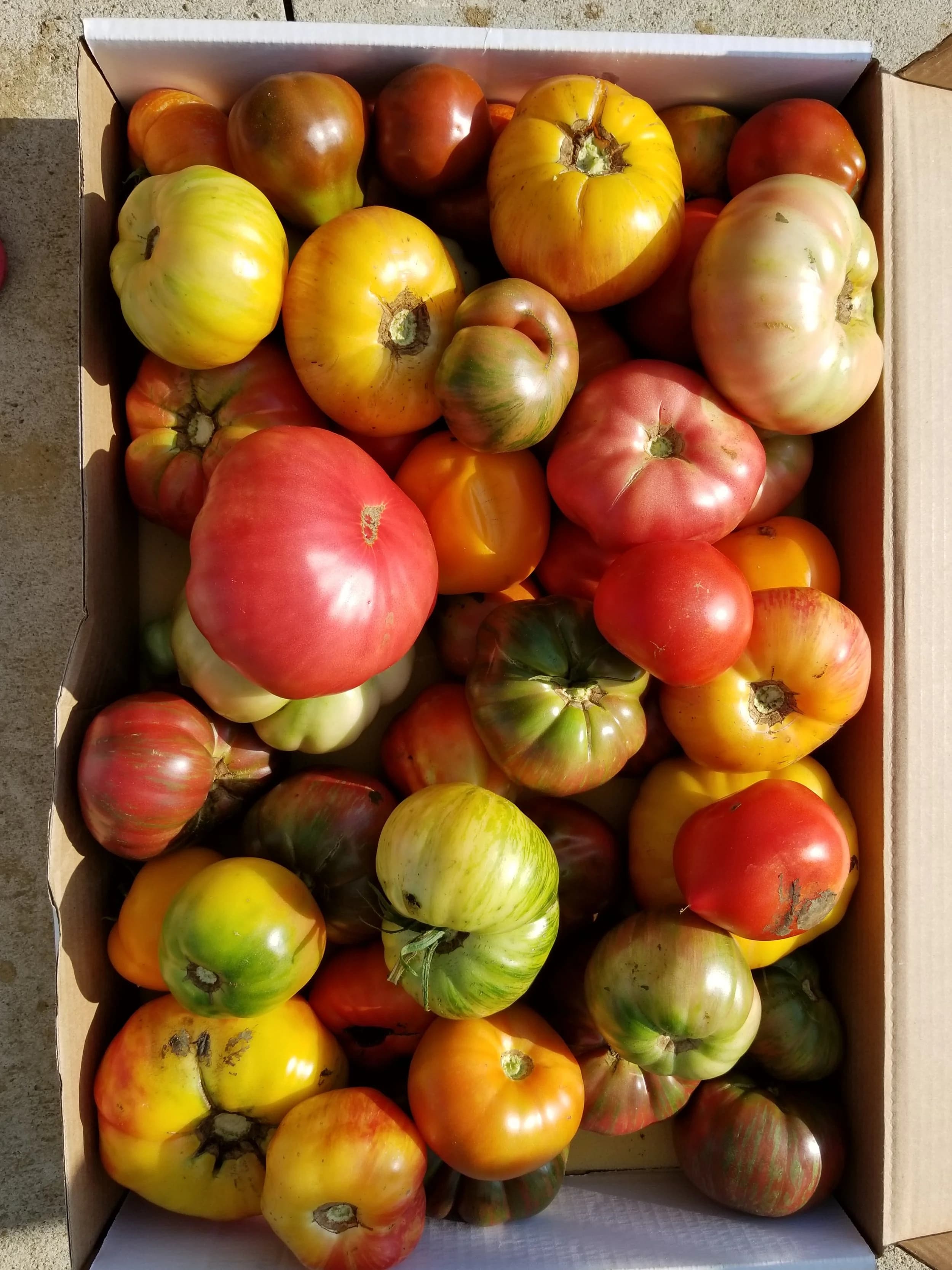 Specca Farms Pick Your Own