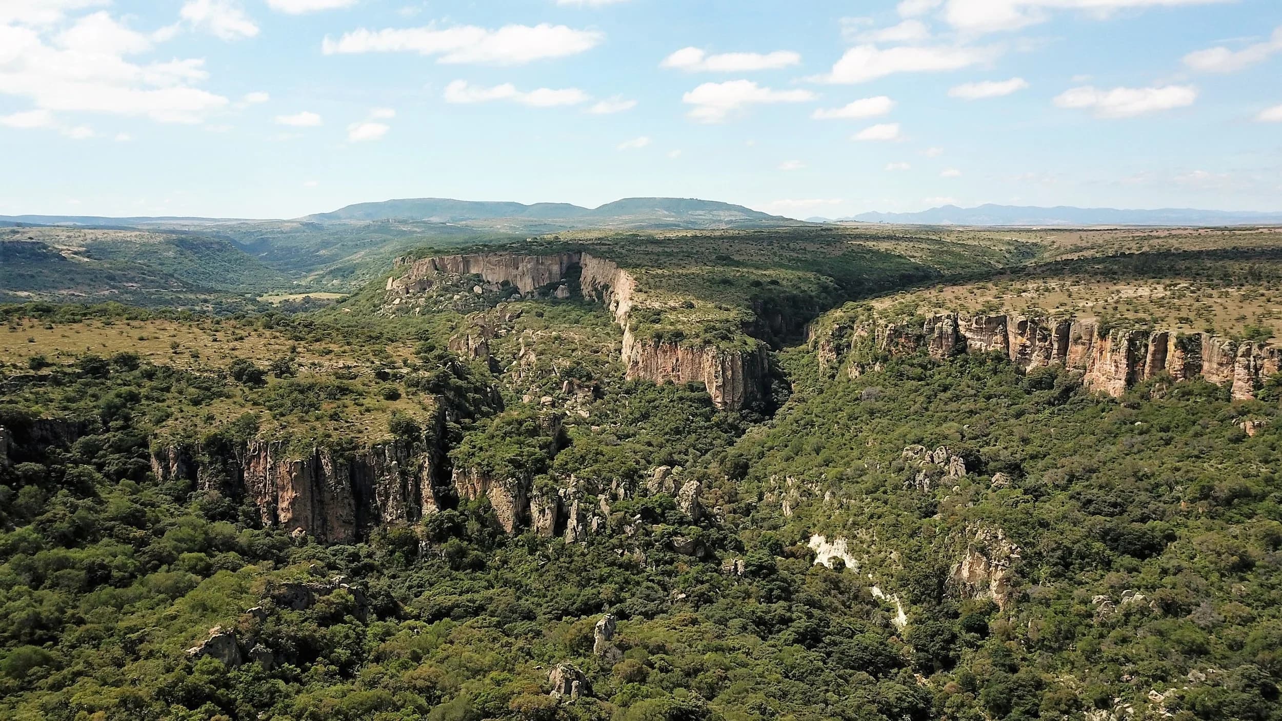 Cañada de la Virgen S.P.R. de R.L.