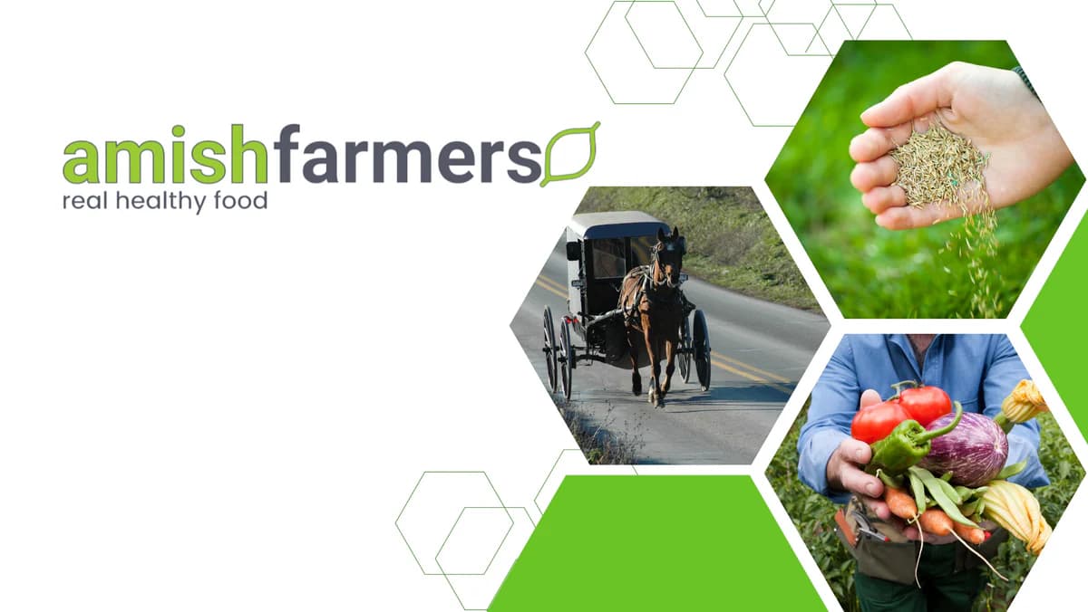 Amish Farmers
