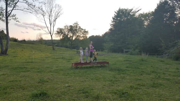 Grass Fed Beef Tennessee