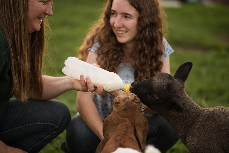 Two By Two Ranch & Petting Zoo