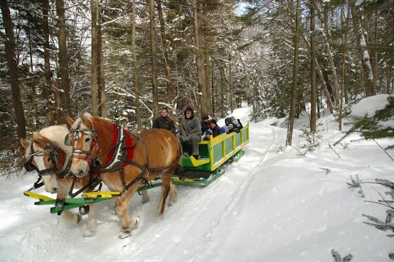 Adams Farm and Meat Processing Shop
