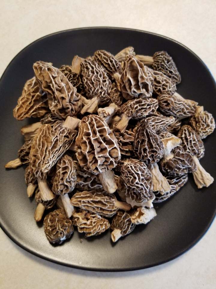 South Bend Farmer's Market