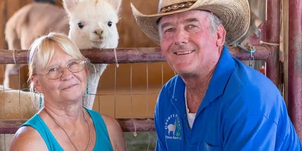 Desert Mirage Alpaca Ranch