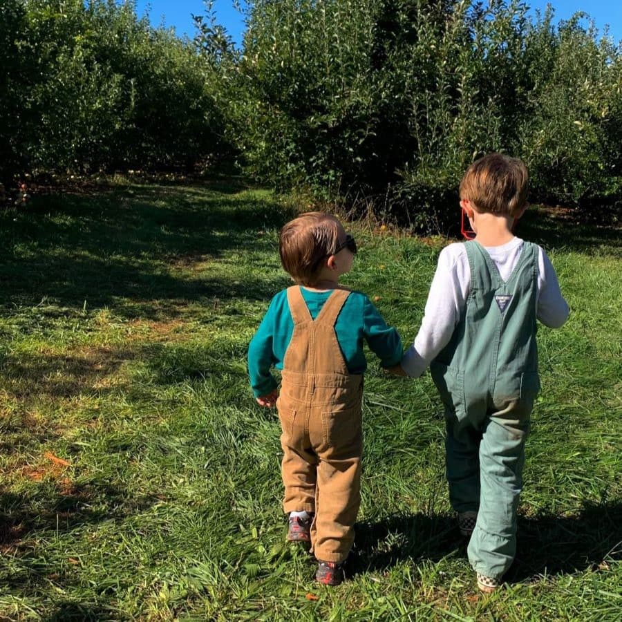 Carter Mountain Orchard and Country Store