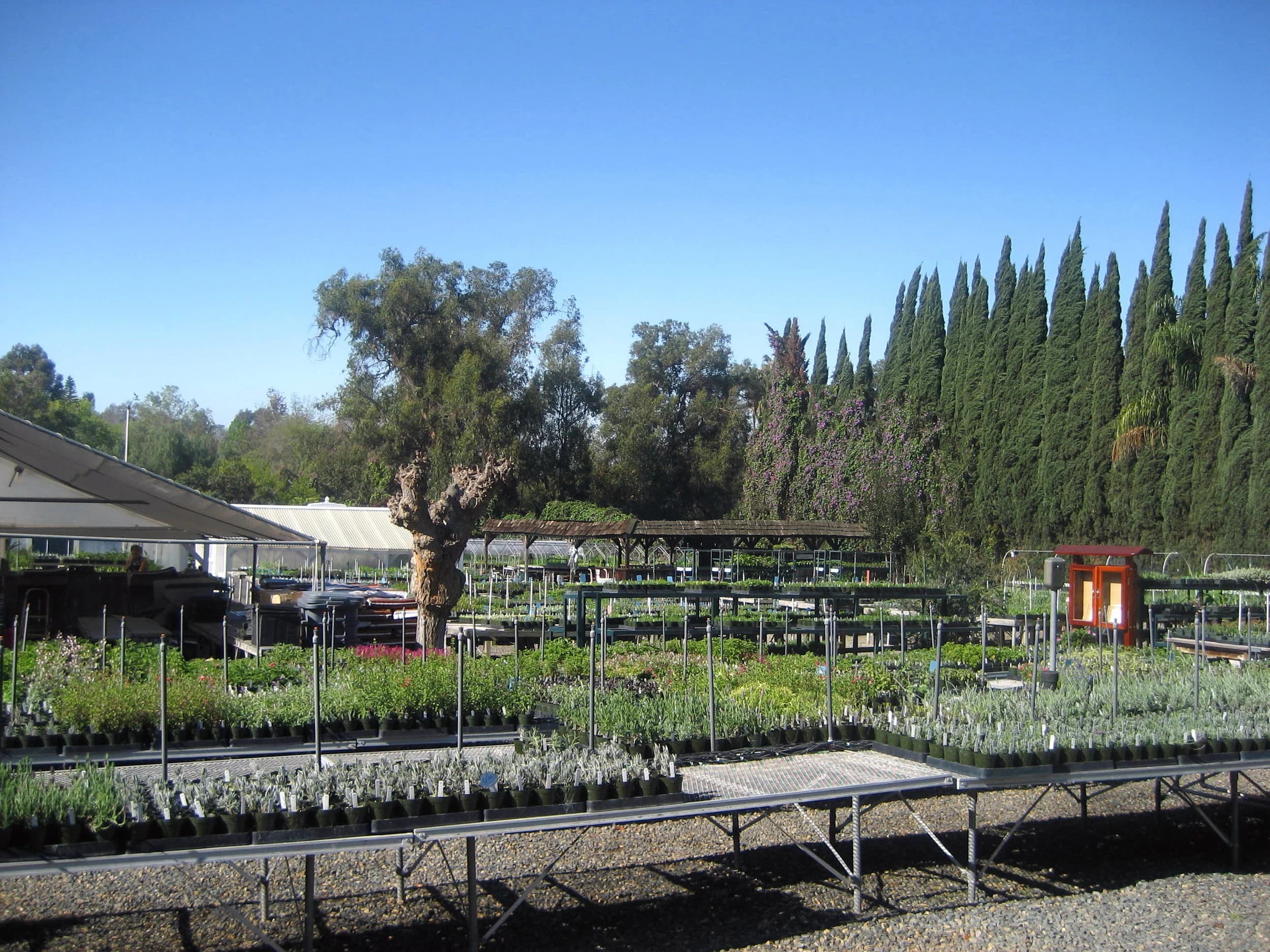 Pearson's Gardens & Herb Farm