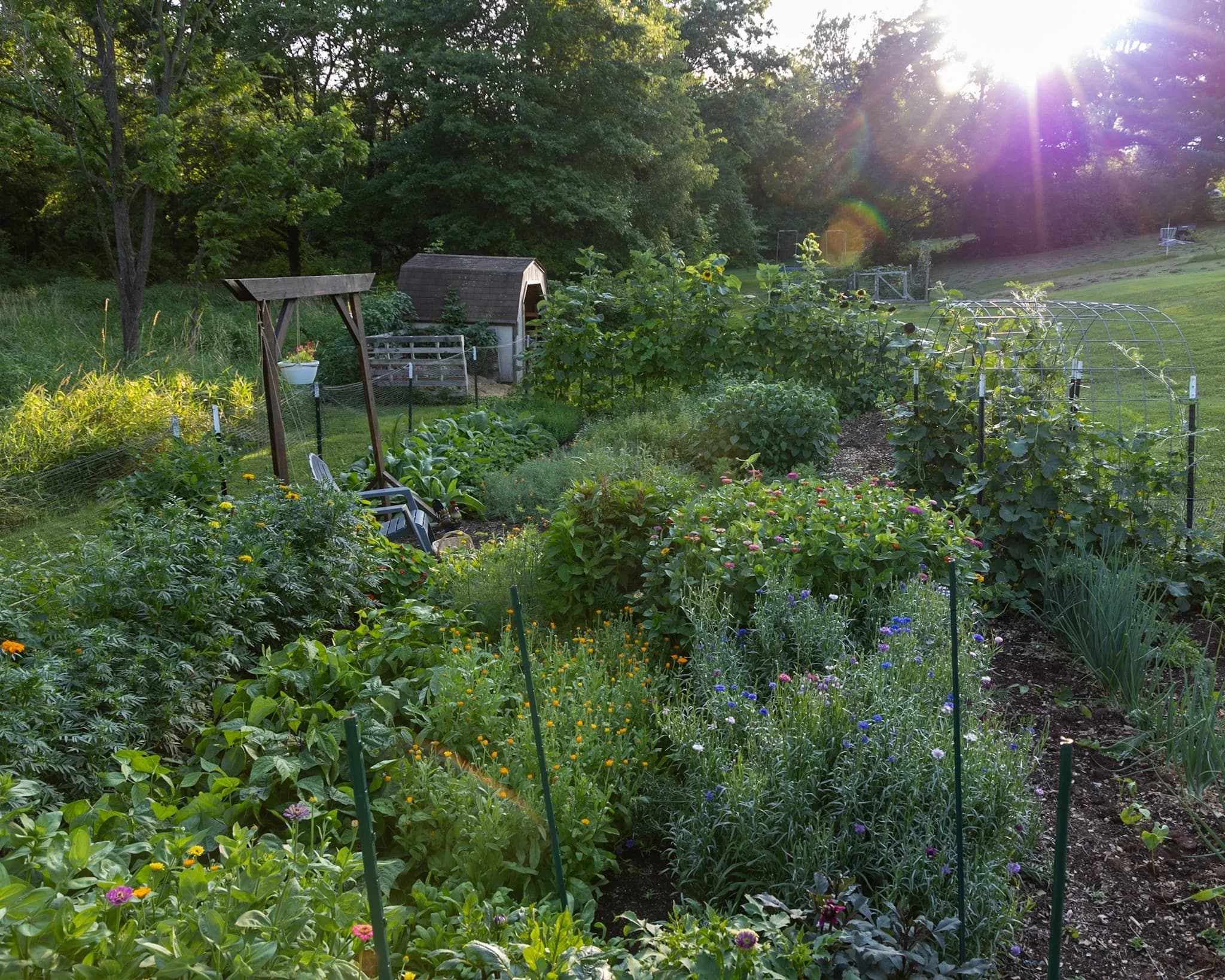 Bird's Farm & Apothecary