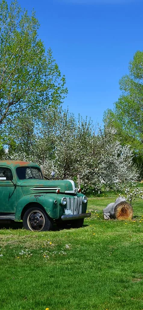 YA YA Farm & Orchard