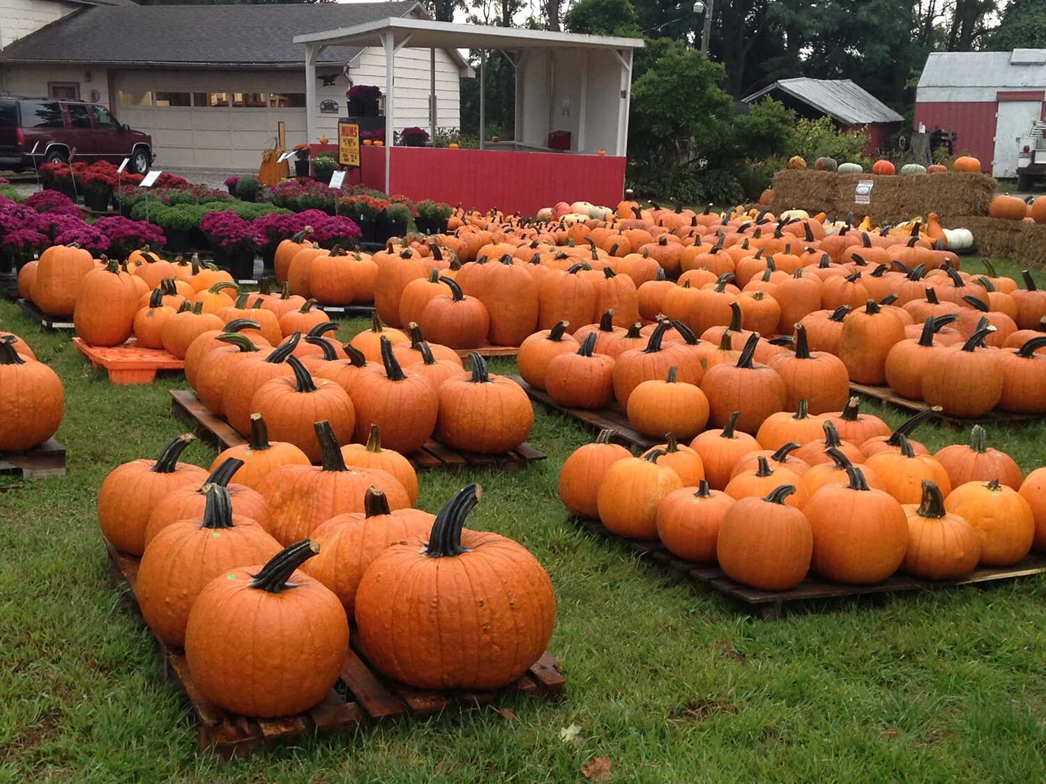 Roth Family Farmstead