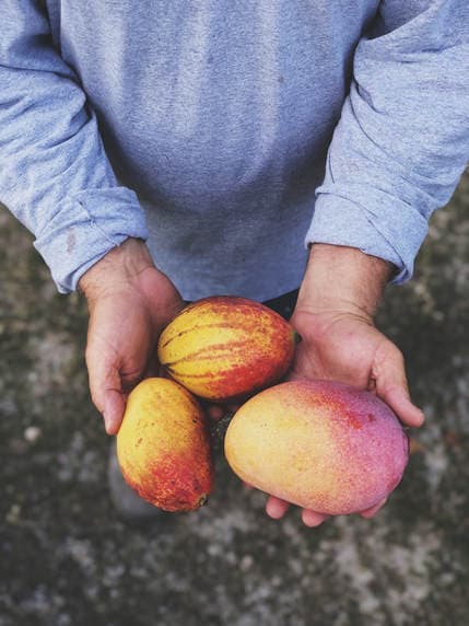 Hidden Acres Mango Farm