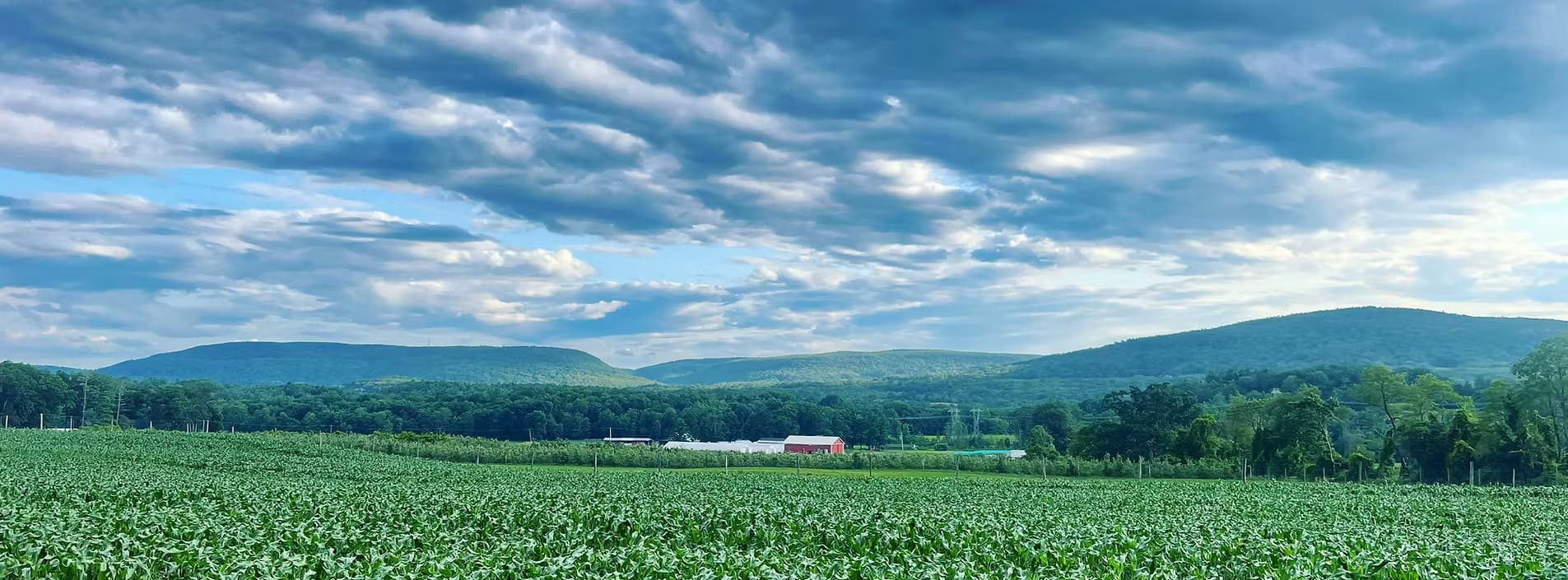 Stanton's Feura Farm