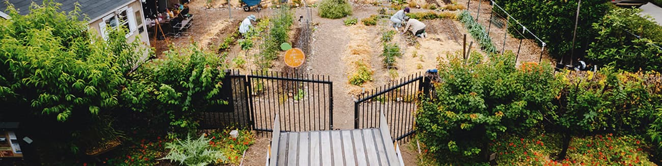 Orange Home Grown Education Farm