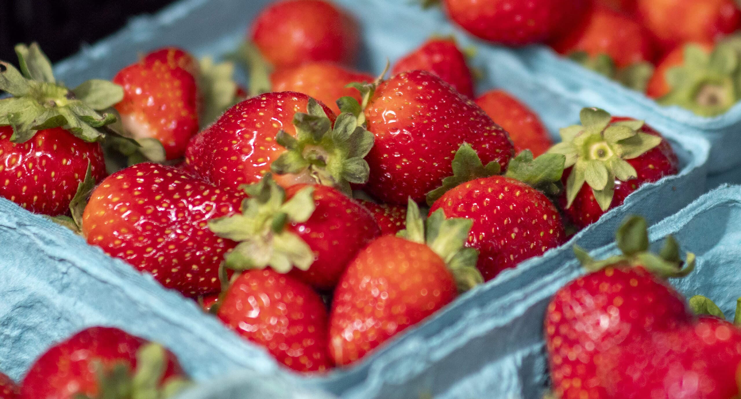 Revolution Farms by Peckham