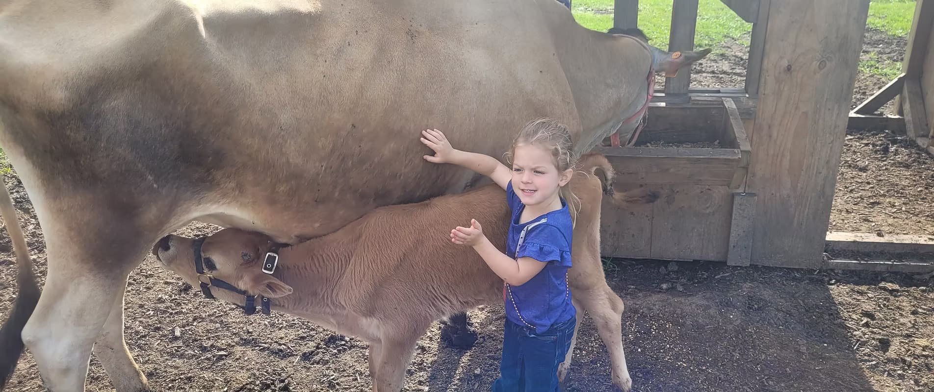 The Groves Family Farm