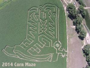 Hankins Farms Corn Maze & Pumpkin Patch