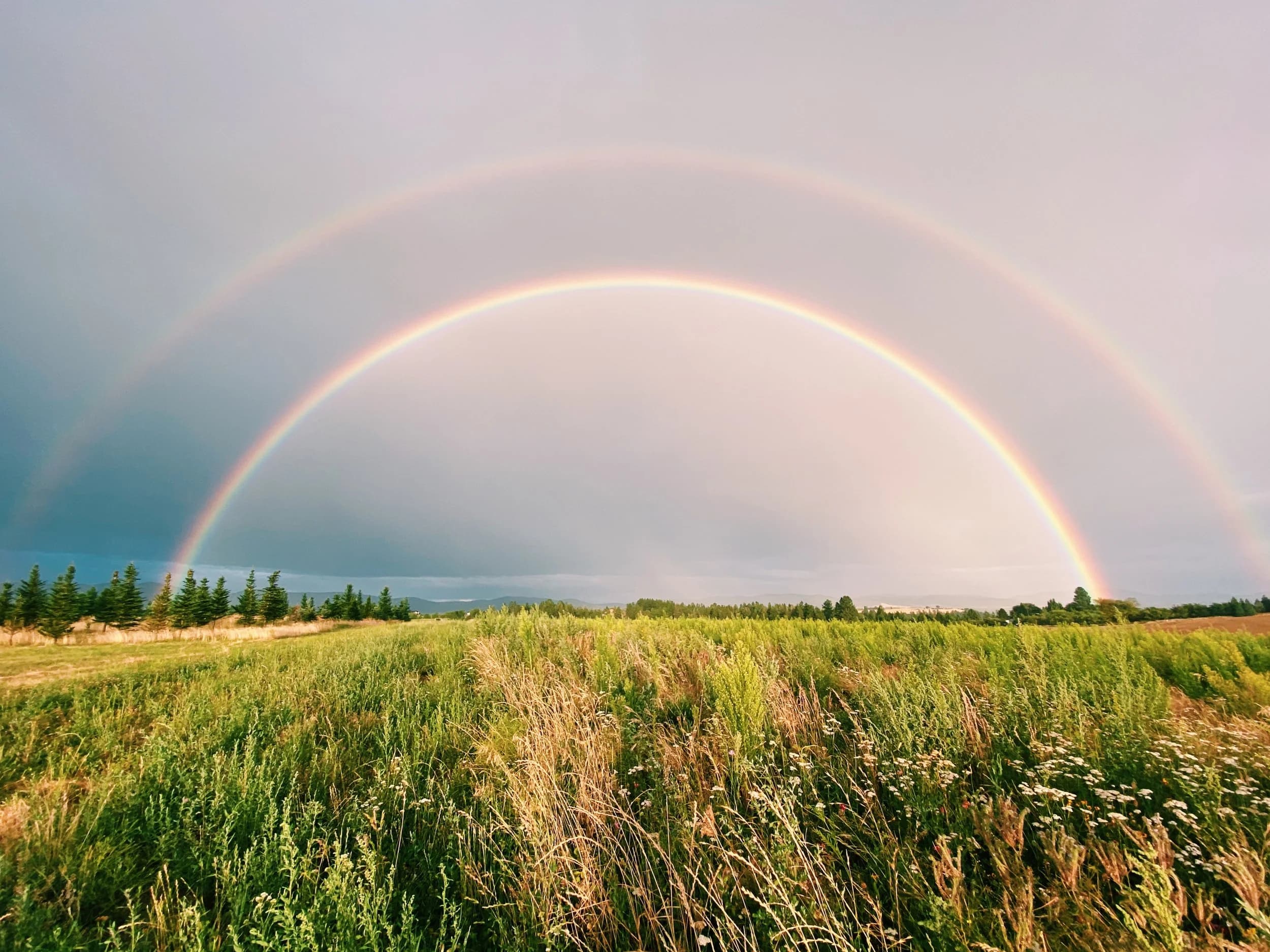 Wildland Cooperative