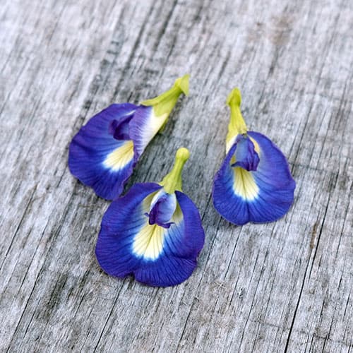 Harpke Family Farm, LLC