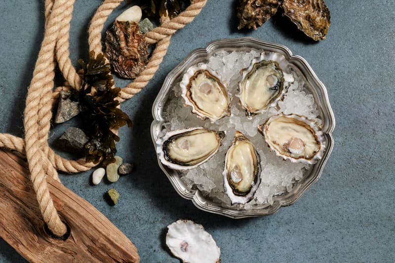 Taylor Shellfish Farms