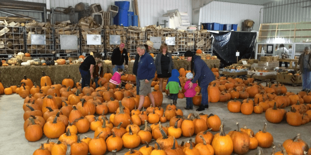 Bulitz Pumpkin Farm