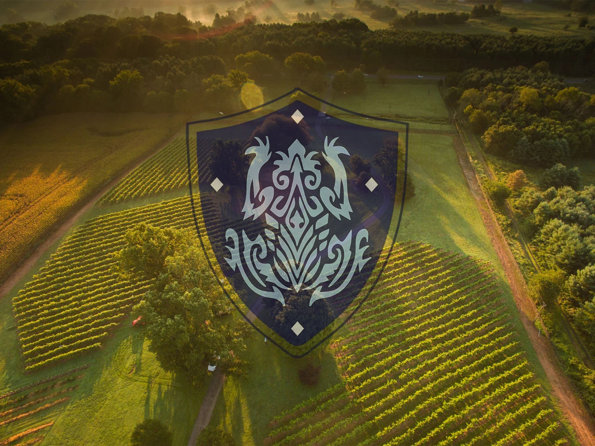 Bleu Frog Vineyards & Ole Bleu Brewery