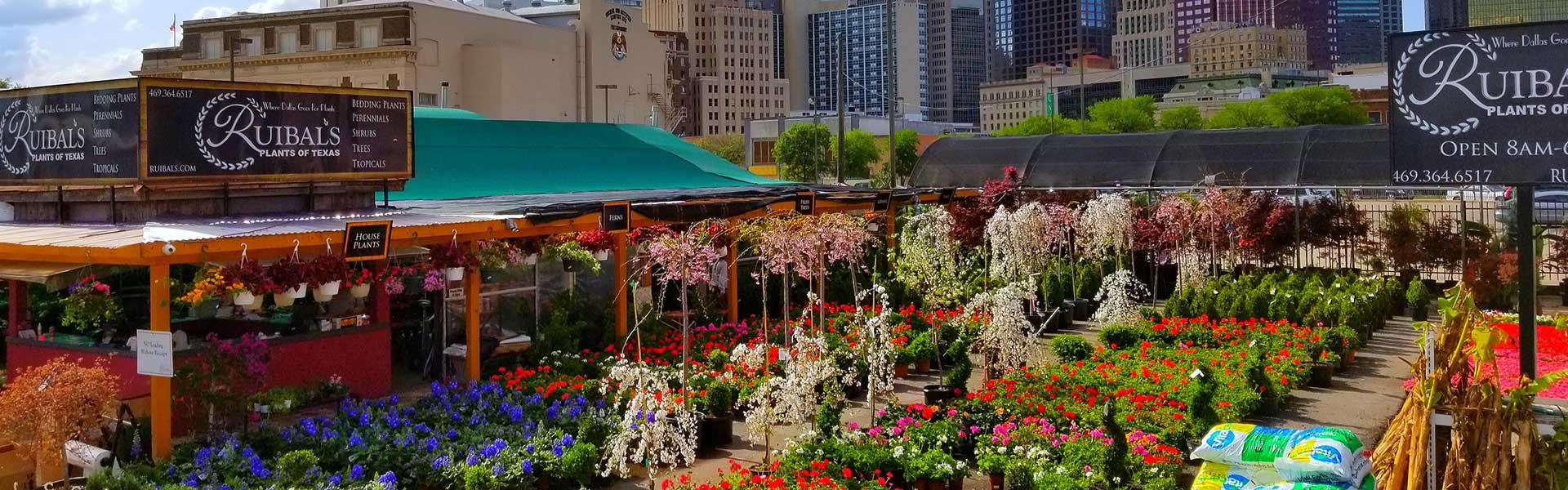 Ruibal's Rosemeade Market