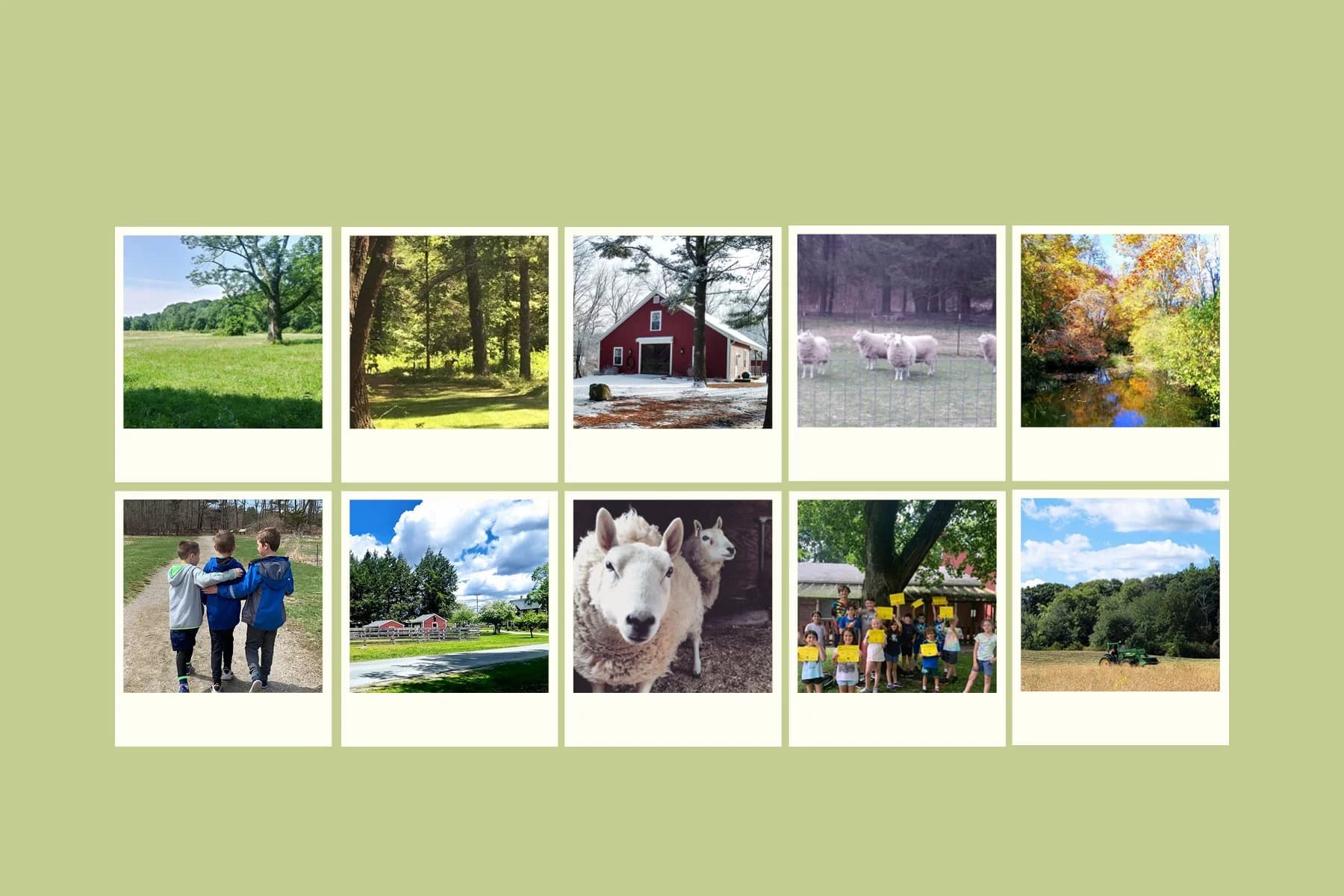 Natural Resources Trust