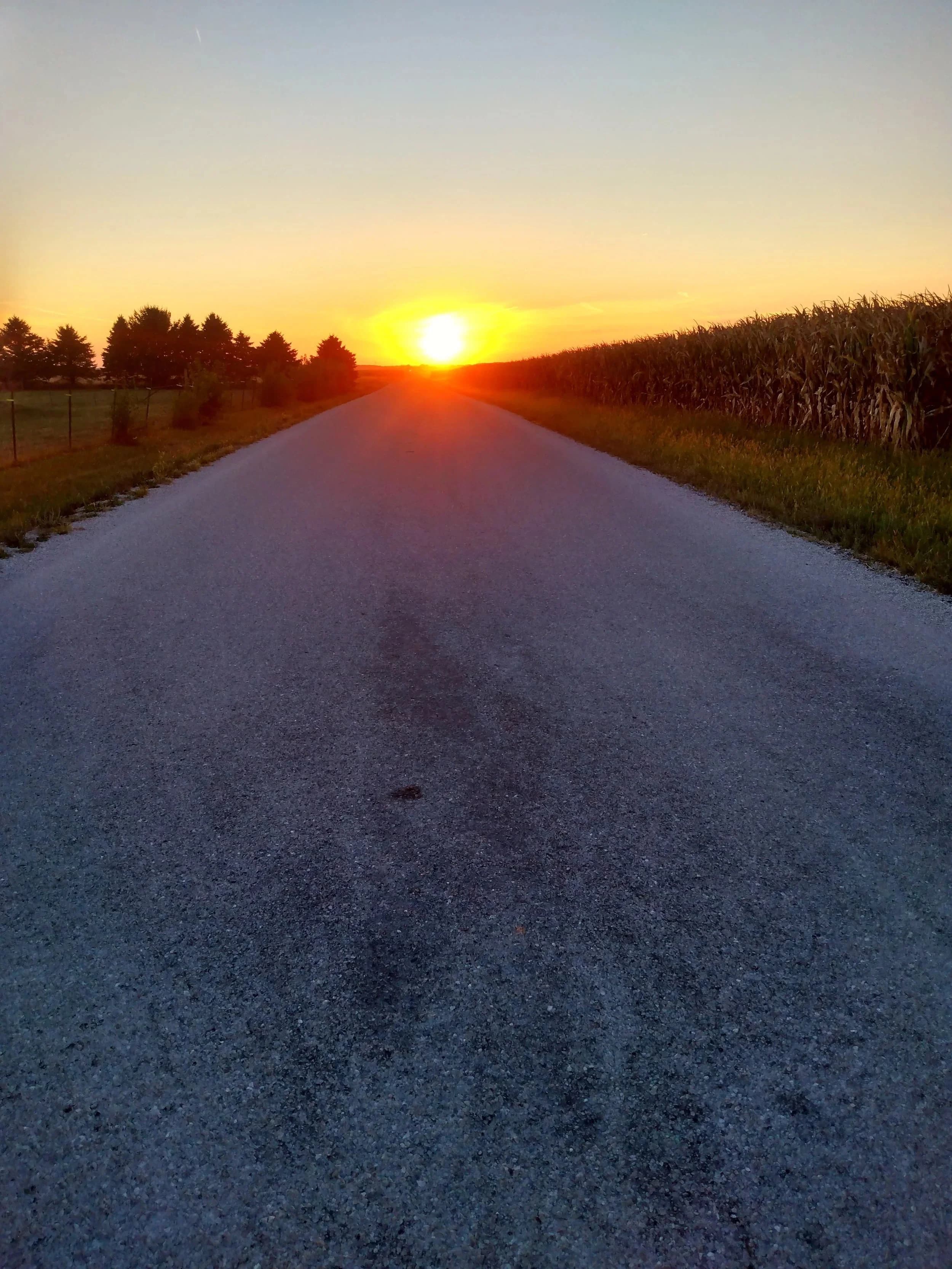 Joy of Illinois Farm