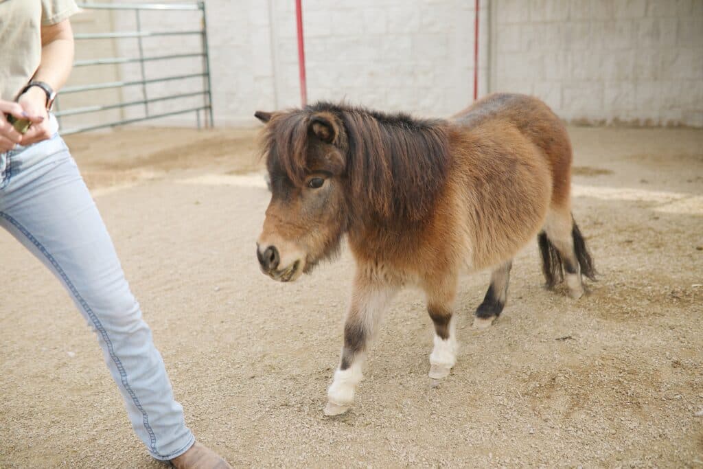 Gillette Family Farms