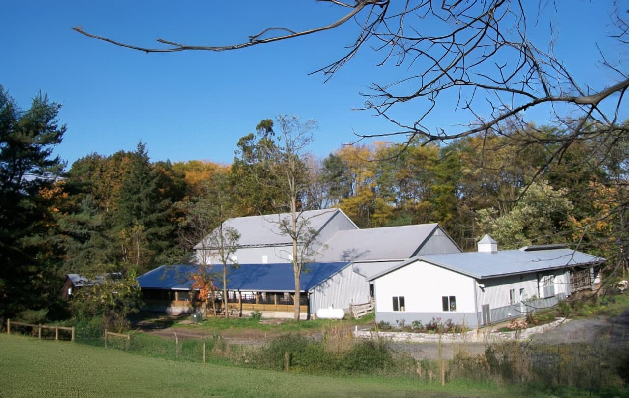 Bear Meadows Farm