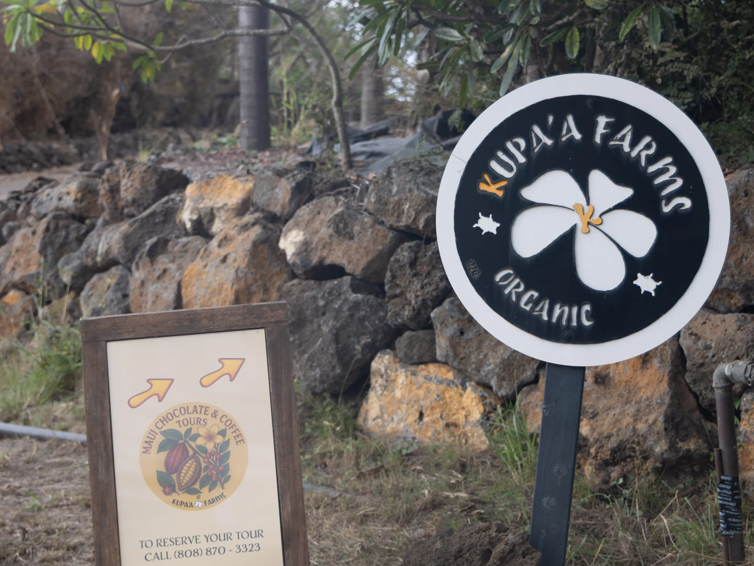 Maui Chocolate Coffee Tours