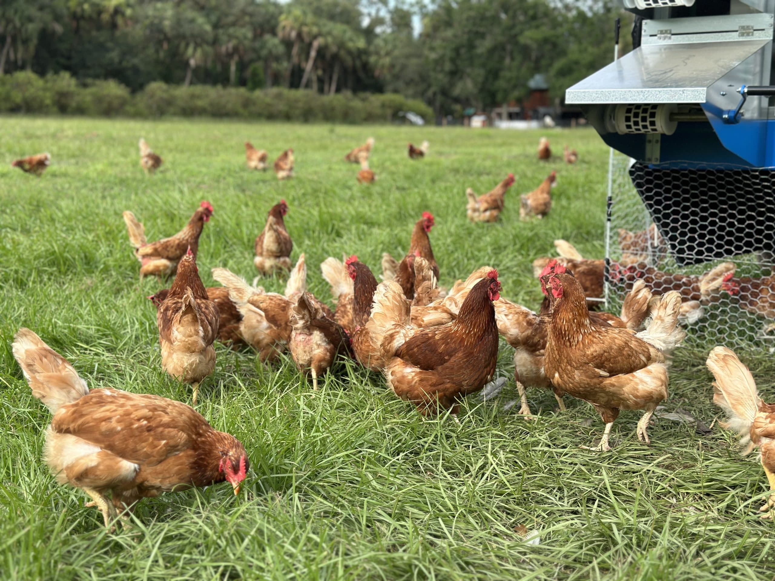 Cypress Creek Farms and Ranch