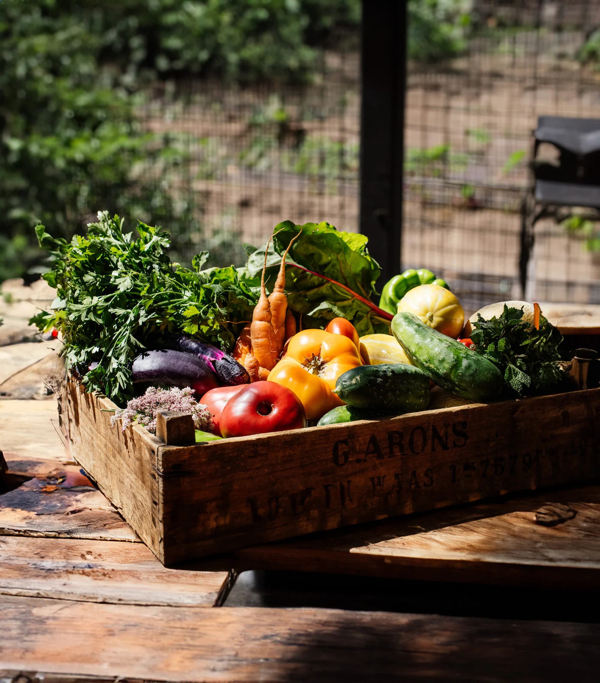 Golden Door Country Store
