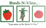 Bush-N-Vine - Rock Hill