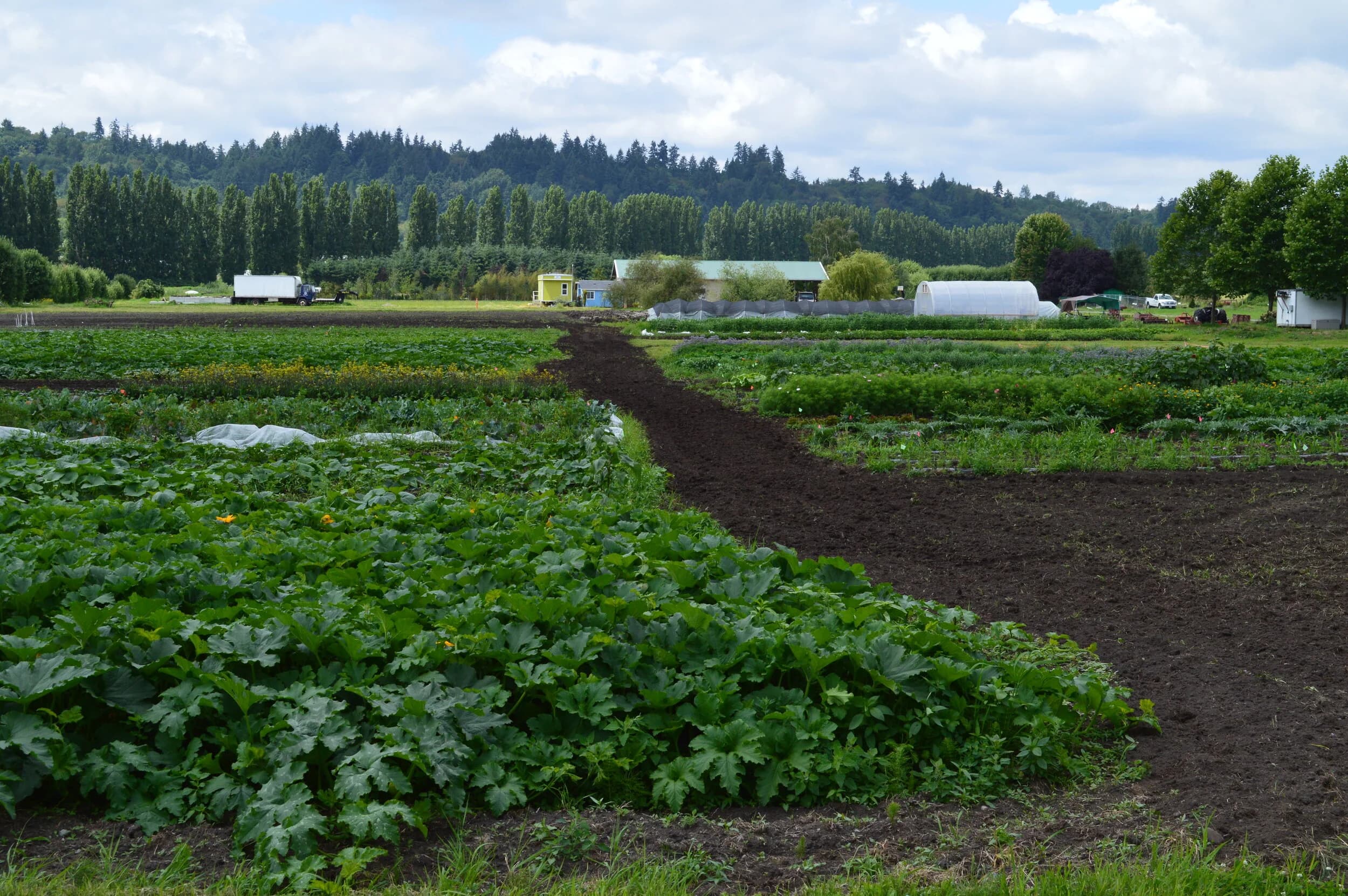 Tonnemaker Valley Farm & Woodinville Farm Stand