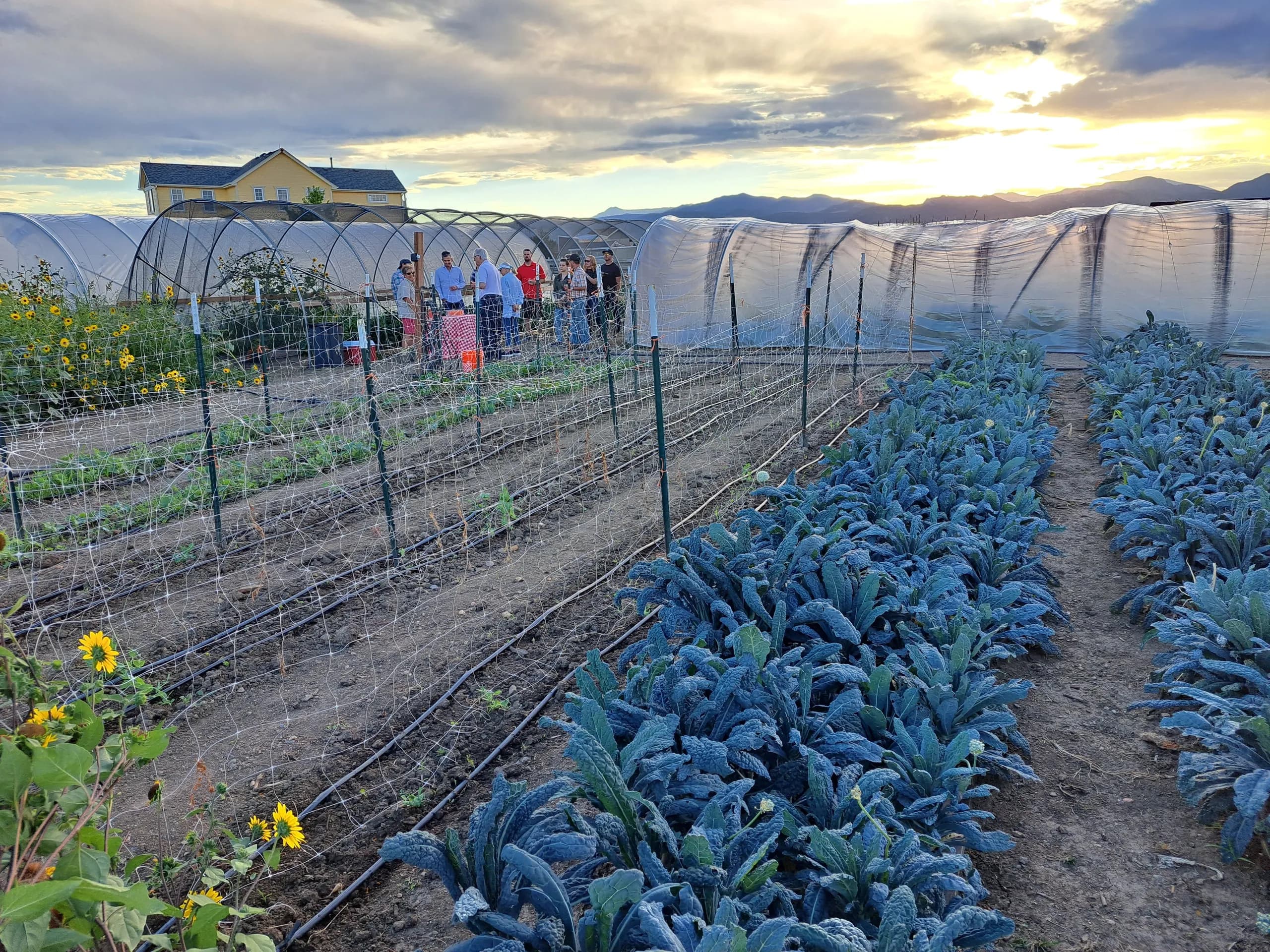 Grow Girl Organics Arvada Farm