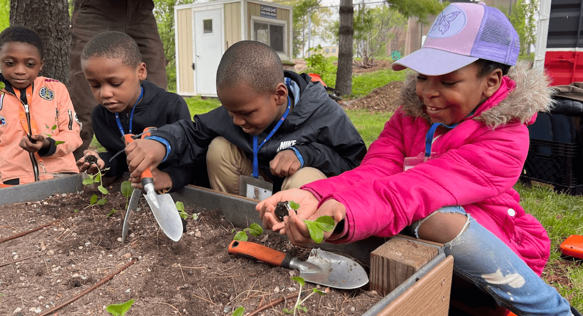 Randall's Island Urban Farm