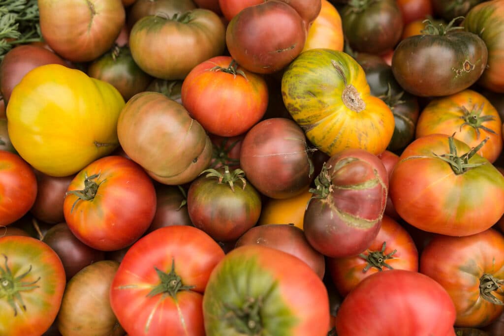 Downtown Berkeley Farmers' Market